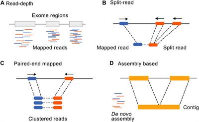 Incorporating CNV analysis improves the yield of exome sequencing for rare monogenic disorders—an important consideration for resource-constrained settings